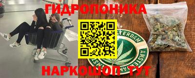 каннабис Камышлов