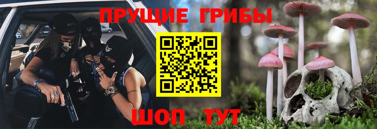 Гурьевск  Галлюциногенные грибы мухоморы  Вход с VPN 